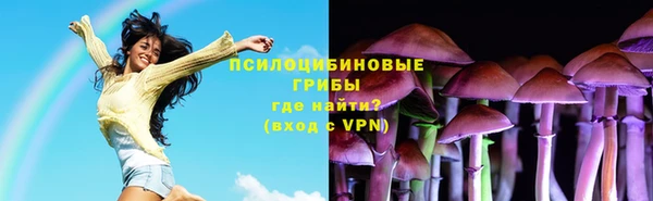 apvp Армянск