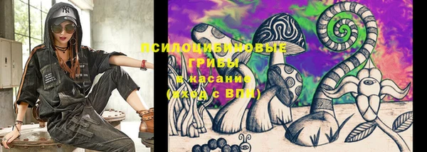 ГАЛЛЮЦИНОГЕННЫЕ ГРИБЫ Алексин