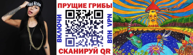 Псилоцибиновые грибы Magic Shrooms цена Венёв
