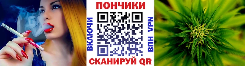 дарнет шоп  ОМГ ОМГ как войти  shop наркотические препараты  Венёв  Шишки марихуана THC 21% 